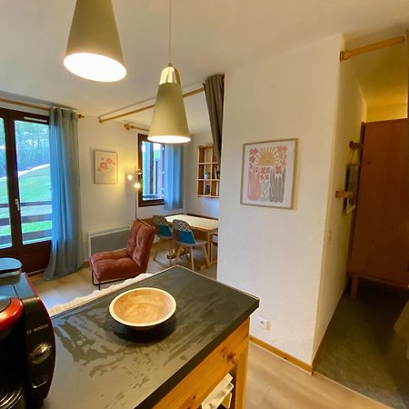 Appartement Au Pied Des Pistes 布伊·圣文森特 外观 照片